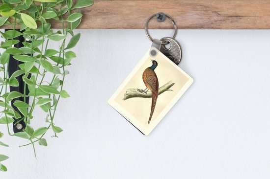 Porte-clés Antique Bird Prints - Antique oiseau imprimé faisan porte-clés en plastique - porte-clés rectangulaire avec photo