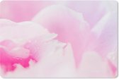 Muismat Pioenroos roze - Close-up van de bloemblaadjes van de roze pioenroos muismat rubber - 27x18 cm - Muismat met foto