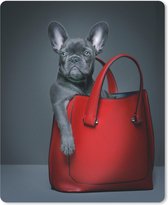 Muismat Grappige dieren - Grappige bulldog in rode handtas muismat rubber - 30x40 cm - Muismat met foto