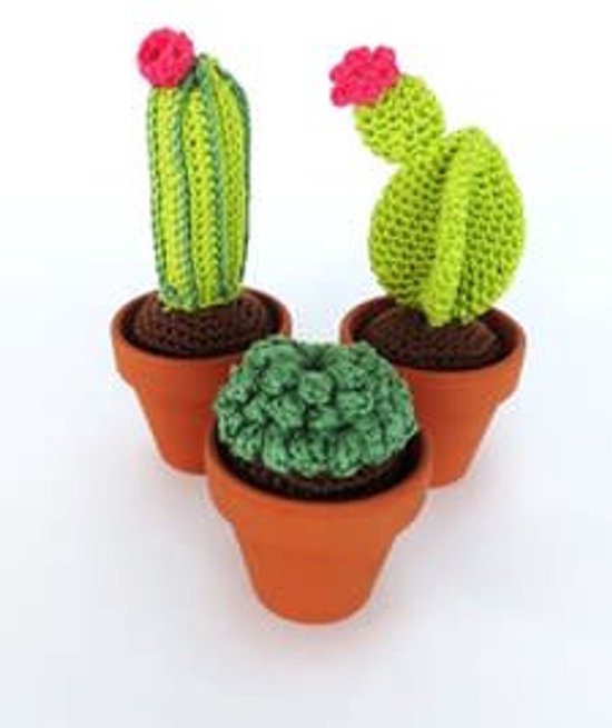 Cactussen haken (haakpakket)