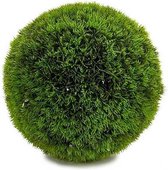 Decoratieve plant Groen Plastic (16 x 16 x 16 cm)