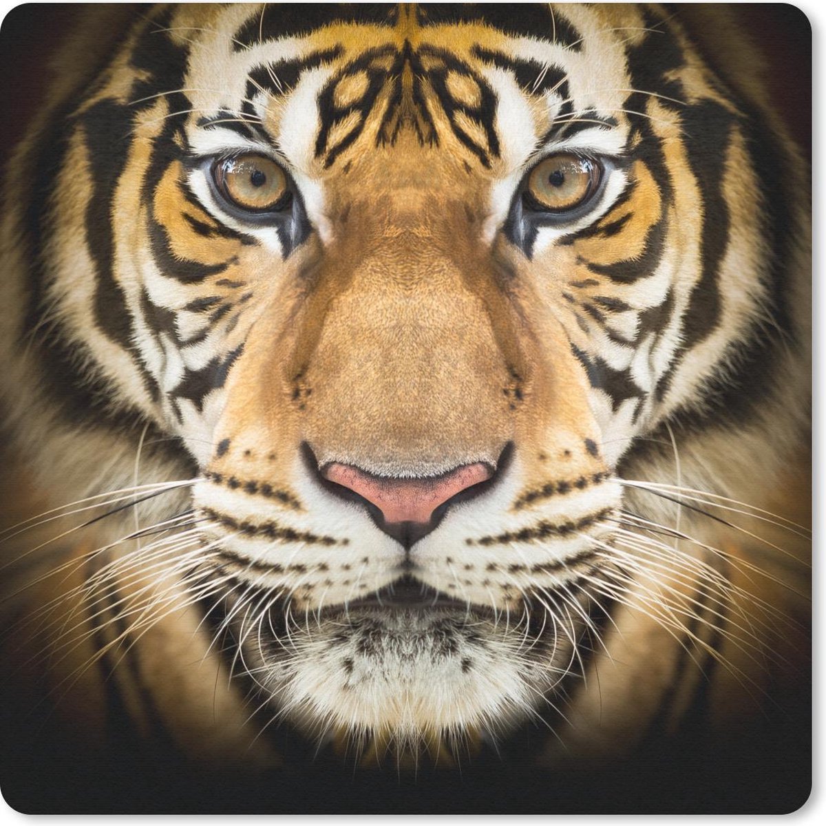 Muismat 20x20 cm - Mousepad Tijger - Dier - Portret - Muismatten