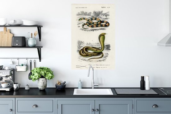 Stickers muraux - Film autocollant - Serpent - Vintage - Reptiles - 60x90 cm - Film adhésif - Stickers muraux Chambre d'enfant - Papier peint autocollant
