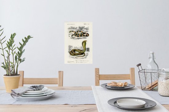 Stickers Stickers muraux - Serpent - Vintage - Reptiles - 20x30 cm - Feuille adhésive