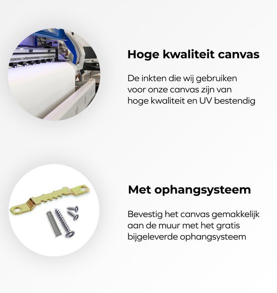 Hoge kwaliteit canvas met ophangsysteem.