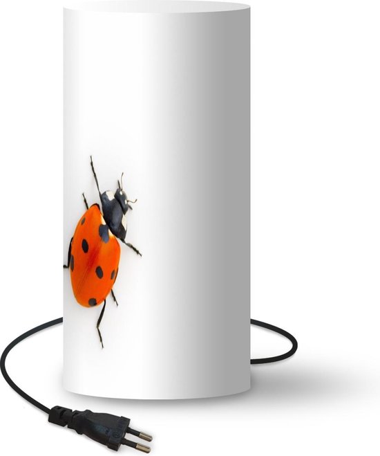 Hen zoogdier Af en toe Lamp Insecten op Witte Achtergrond - Klimmend lieveheersbeestje lamp - 33  cm hoog -... | bol.com