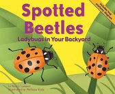 Backyard Bugs - Spotted Beetles
