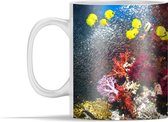 Mok - Kleurrijk koraalrif met vissen - 350 ml - Beker