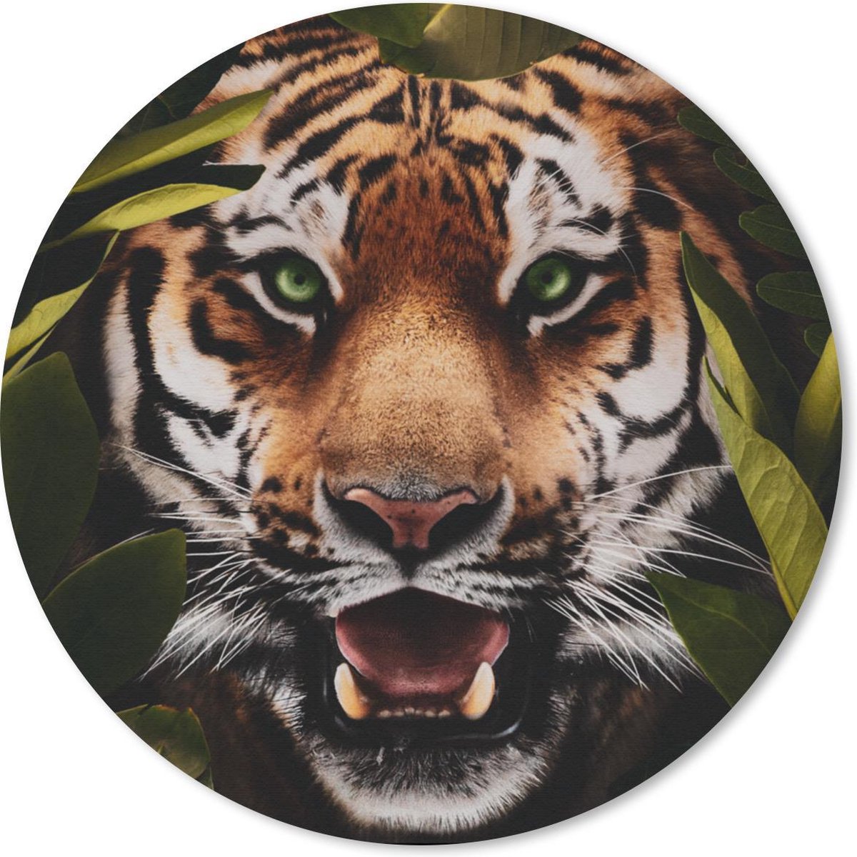 Muismat rond 40x40 cm - Mousepad Tijger - Bladeren - Dieren - Ronde muismatten