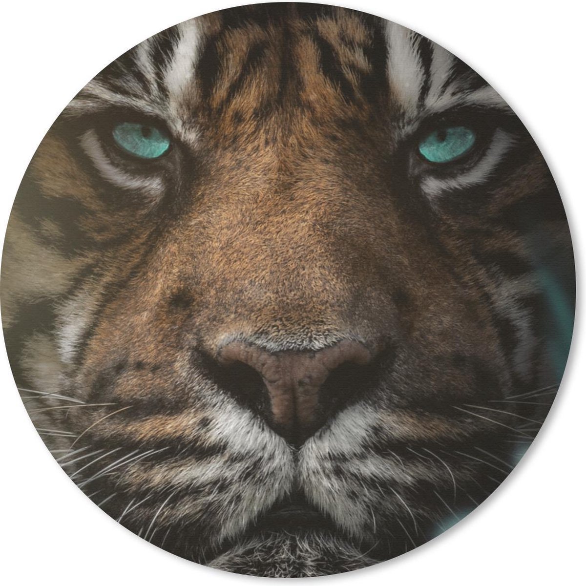 Muismat rond 40x40 cm - Mousepad Jungle - Tijger - Wilde dieren - Ronde muismatten