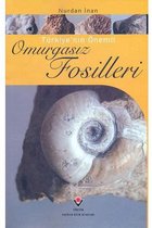 Türkiye'nin Önemli Omurgasız Fosilleri