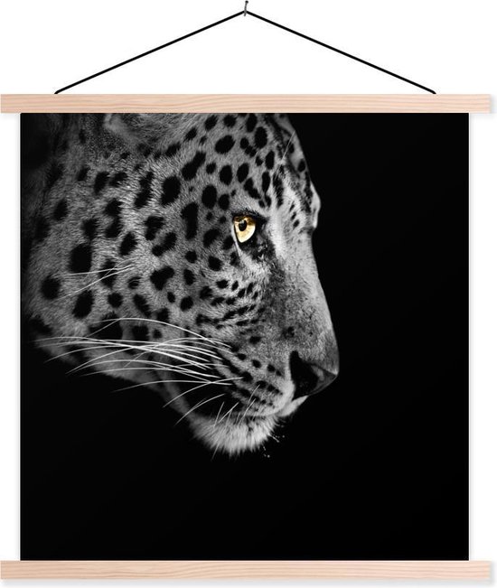 Porte-affiche avec affiche - Affiche scolaire - Léopard - Zwart - Wit - 90x90 cm - lattes vierges