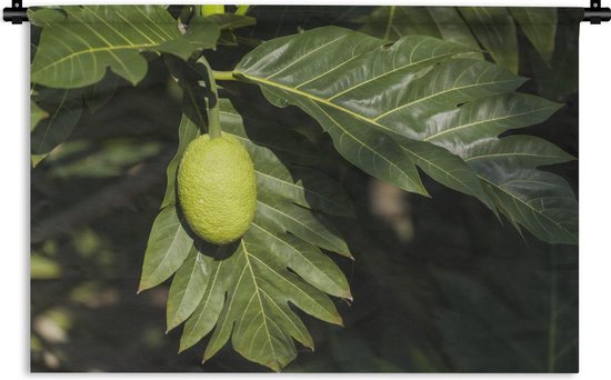 Feuille d'Arbre à Pain