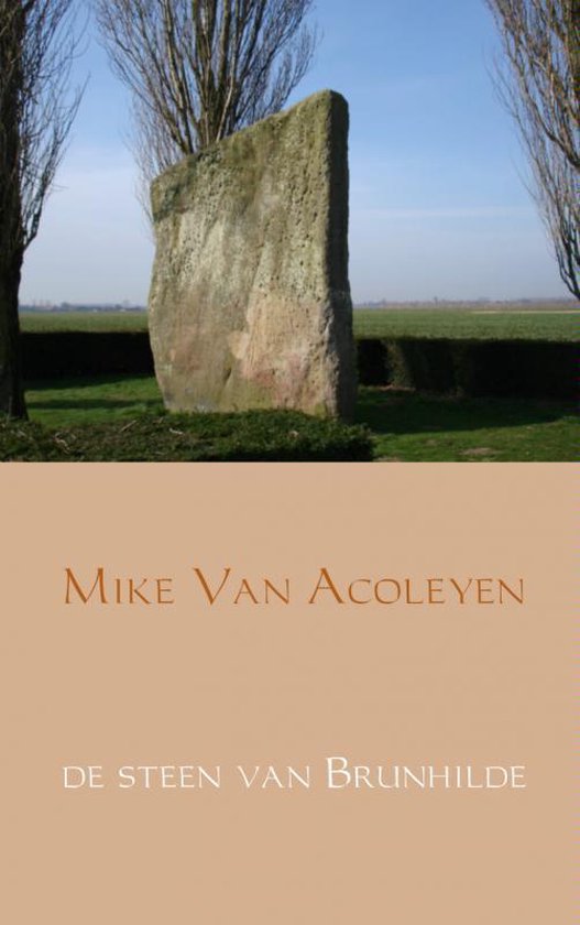 Cover van het boek 'De steen van Brunhilde'