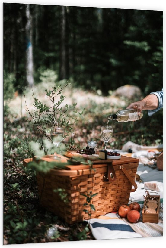 Dibond - Picknick op Mand - Foto op Aluminium (Wanddecoratie van metaal)