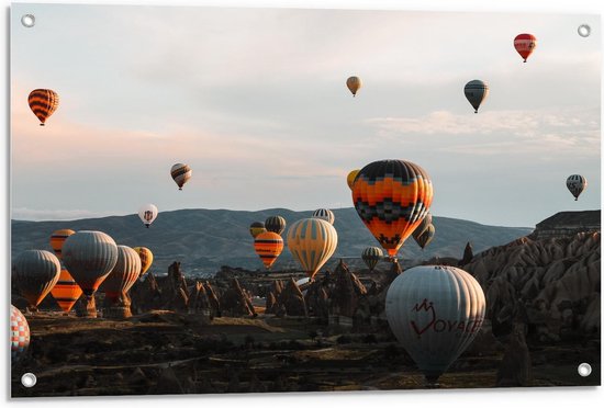 Tuinposter – Lucht vol met Luchtballonnen boven Tempels  - 90x60cm Foto op Tuinposter  (wanddecoratie voor buiten en binnen)