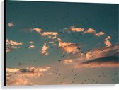 Canvas  - Vogels in de Lucht - 100x75cm Foto op Canvas Schilderij (Wanddecoratie op Canvas)