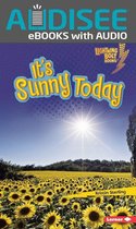 Lightning Bolt Books ® — What's the Weather Like? - It's Sunny Today