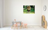 Dieren leeuw poster A1 84 x 59 cm - Jungle kinderkamer decoratie posters leeuwen - Kinderposters - Cadeau