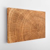 Old wooden oak tree cut surface. Detailed warm dark brown and orange tones of a felled tree trunk or stump. Rough organic texture of tree rings with close up of end grain. - Modern