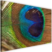 Schilderij Pauwen oog, 2 maten, multi-gekleurd (wanddecoratie)