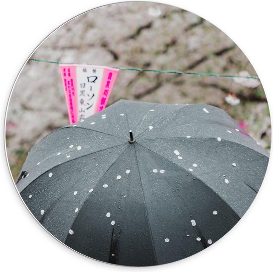 Forex Wandcirkel - Zwarte Paraplu met Roze Bloesem - Foto op Wandcirkel (met ophangsysteem)