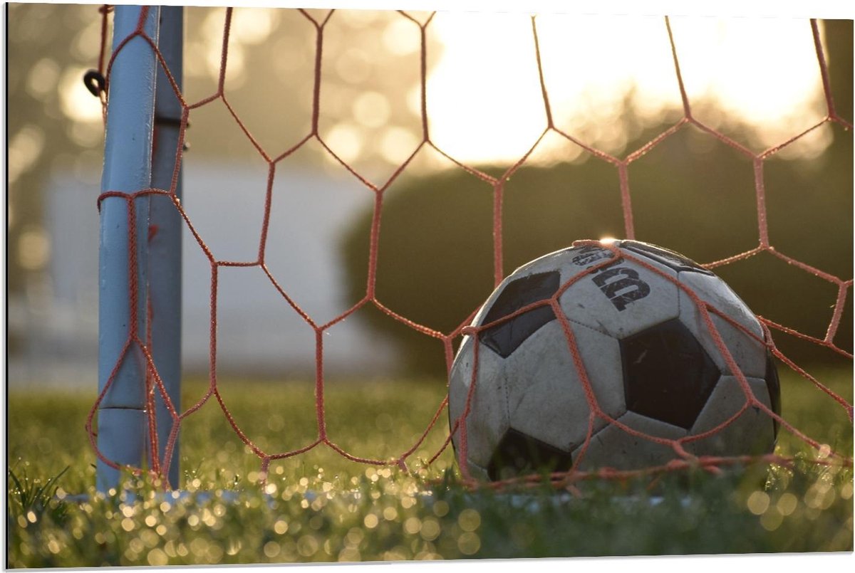 Dibond - Voetbal in de Goal - 90x60cm Foto op Aluminium (Met Ophangsysteem)