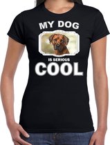 Pronkruggen honden t-shirt my dog is serious cool zwart - dames - Rhodesische pronkrug  liefhebber cadeau shirt XL