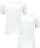 Apollo heren T-shirt Bamboe - V Hals- 2-pack - Wit  - L