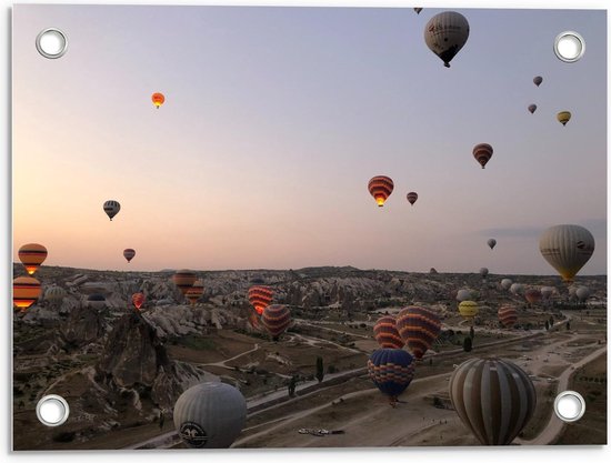 Tuinposter – Luchtballonnen boven de Bergen - 40x30cm Foto op Tuinposter  (wanddecoratie voor buiten en binnen)