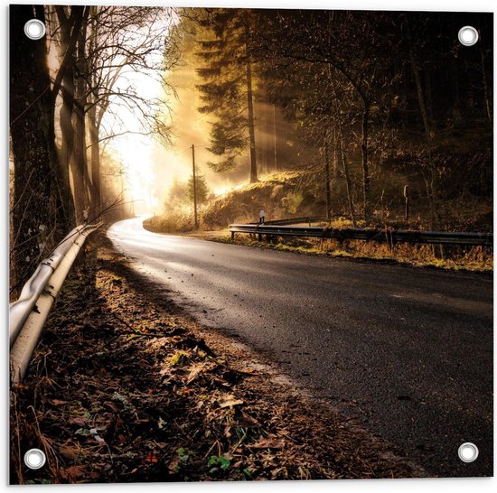 Tuinposter – Weg Langs het Bos in de Bergen - 50x50cm Foto op Tuinposter  (wanddecoratie voor buiten en binnen)