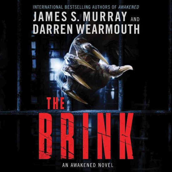 The Brink - cover