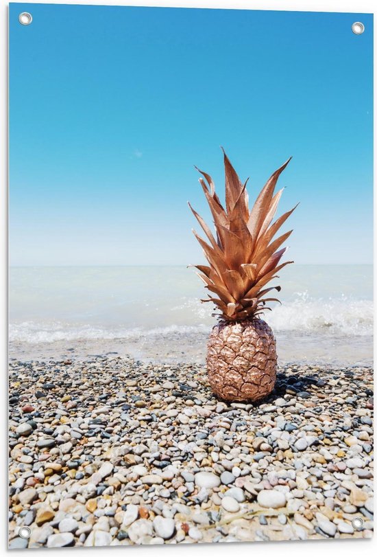 Tuinposter – Gouden Ananas bij Zee - 60x90cm Foto op Tuinposter  (wanddecoratie voor buiten en binnen)