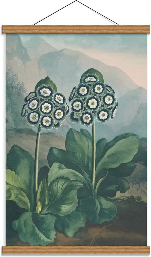 Schoolplaat – Schilderij Twee Planten - 40x60cm Foto op Textielposter (Wanddecoratie op Schoolplaat)