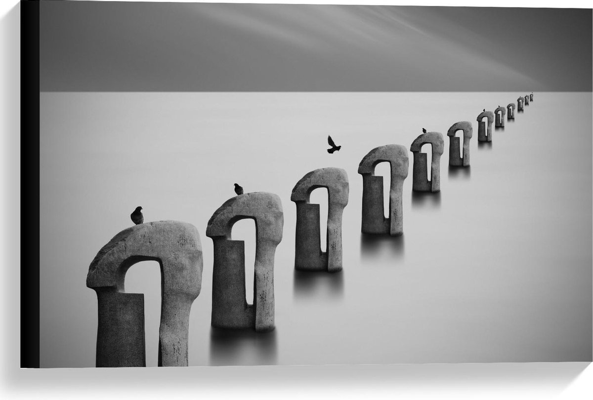 Canvas - Vogels op Betonnen Palen ( Zwart Wit ) - 60x40cm Foto op Canvas Schilderij (Wandd
