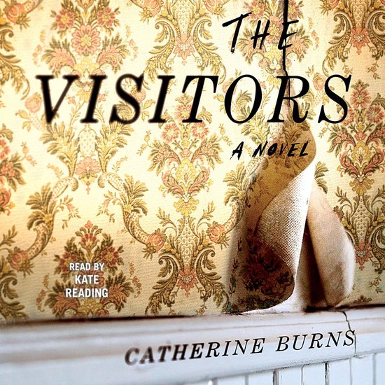 The Visitors - cover