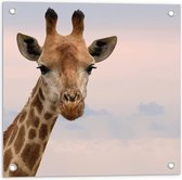 Tuinposter – Giraffe Hoofd - 50x50cm Foto op Tuinposter  (wanddecoratie voor buiten en binnen)