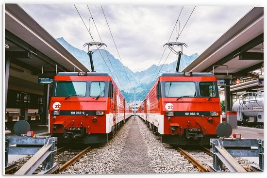 Forex - Twee Rode Treinen in Berggebied - 60x40cm Foto op Forex