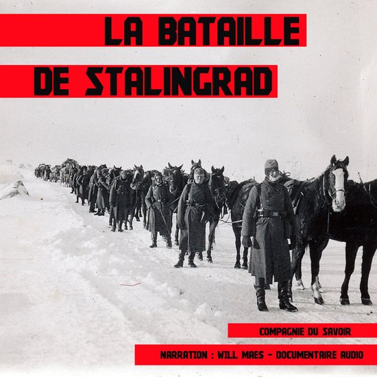 La bataille de Stalingrad, John Mac | 9782821104402 | Livres | bol.com
