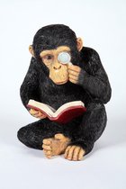Lezende chimpansee tuinbeeld - Hamac - Tuinbeelden - Dieren - Kunsthars