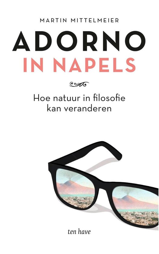 Adorno in Napels - cover