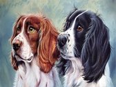 Schilderen Op Nummer Volwassenen - Met Frame - Paint By Number - Hobby  - Dieren - Twee Honden 30x40 cm