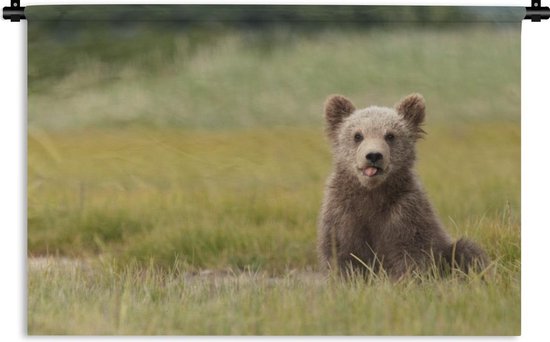 Wandkleed Baby beren - Jonge grizzly beer in een grasveld Wandkleed katoen  120x80 cm -... | bol.com