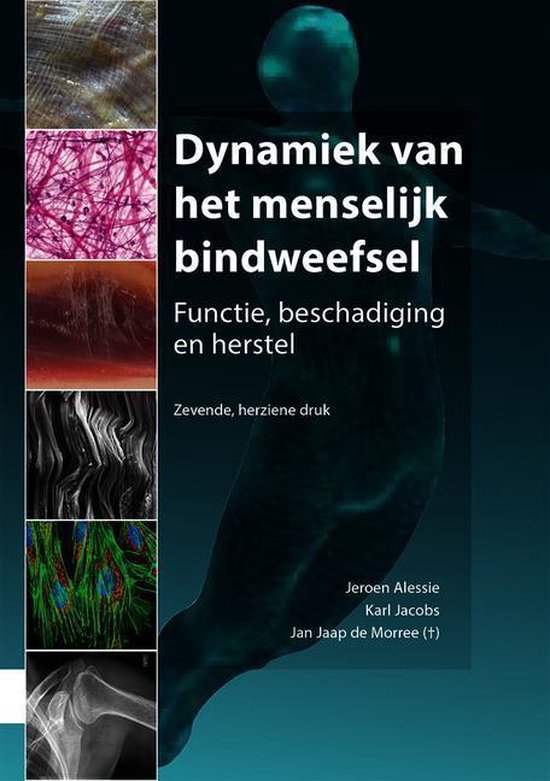 Dynamiek Van Het Menselijk Bindweefsel