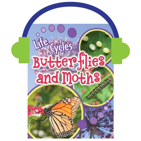 Butterflies and Moths - cover