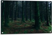 Tuinposter – Donkere Bomen in het Bos - 90x60cm Foto op Tuinposter  (wanddecoratie voor buiten en binnen)