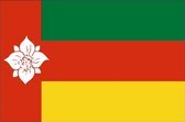 Vlag gemeente Tynaarlo 100x150 cm