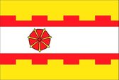 Vlag gemeente Zederik 150x225 cm