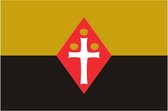 Vlag gemeente Best 70x100 cm