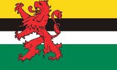 Vlag gemeente Geertruidenberg 200x300 cm